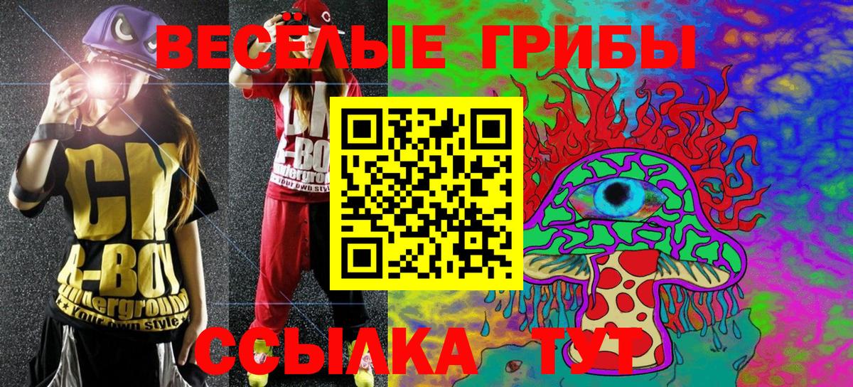 Псилоцибиновые грибы Psilocybine cubensis Алапаевск